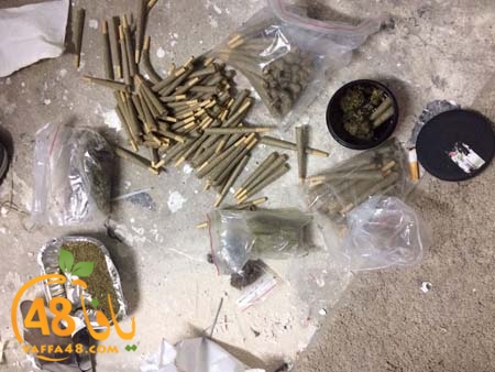 polices dogs (1).jpg